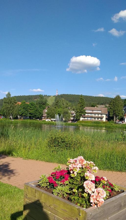 Aussicht Apartamento Goslar Exterior foto